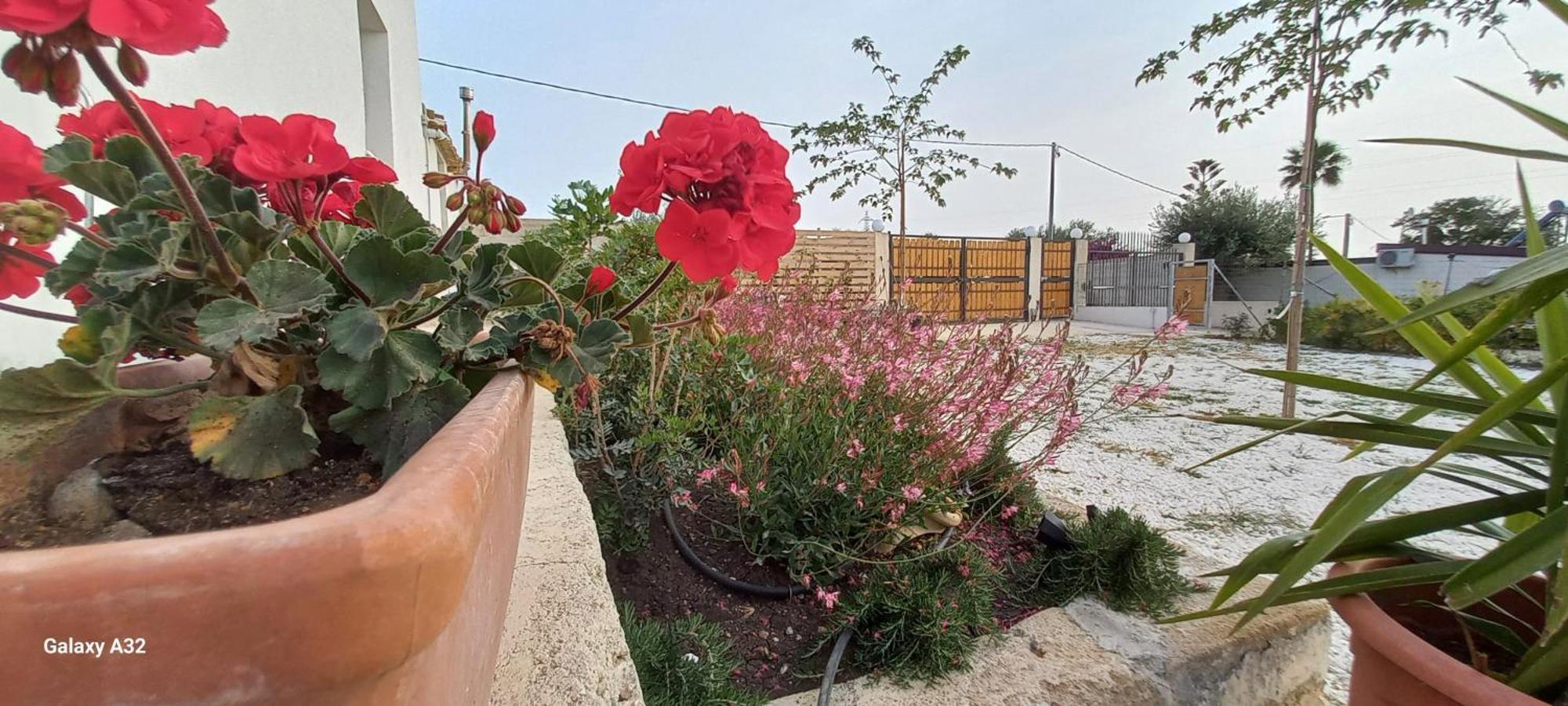 Almademari Giglio Casa Vacanza Pachino Szoba fotó