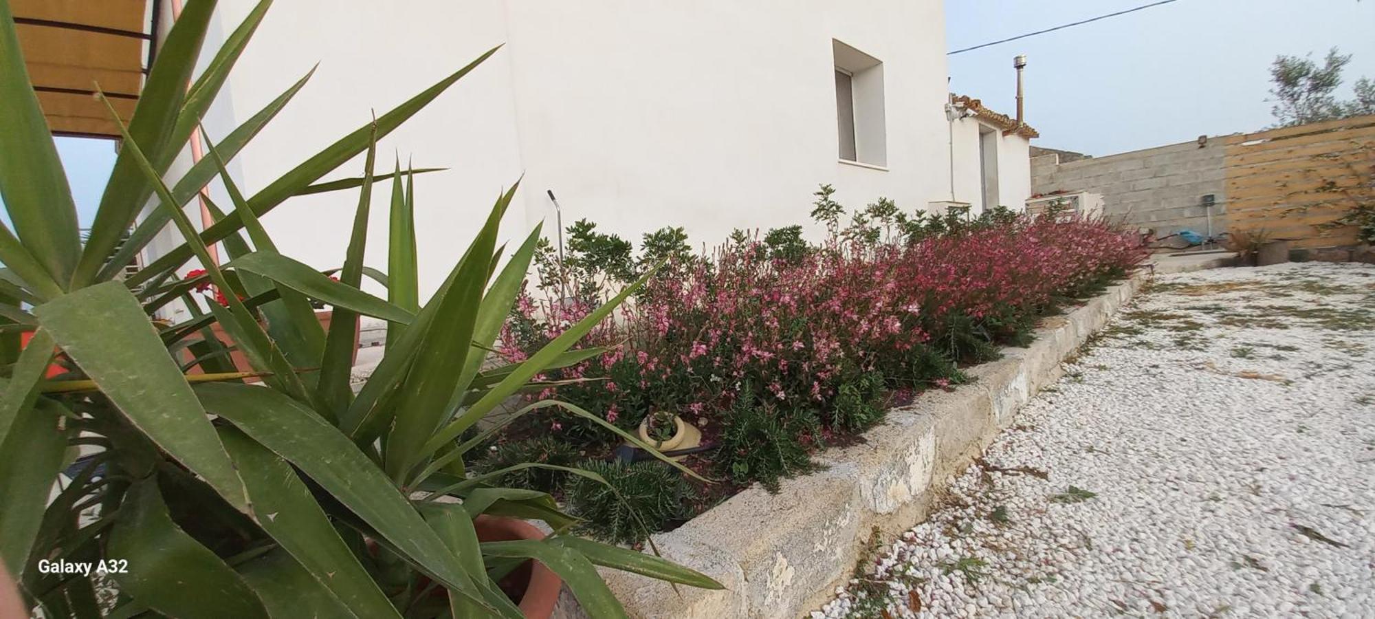 Almademari Giglio Casa Vacanza Pachino Szoba fotó